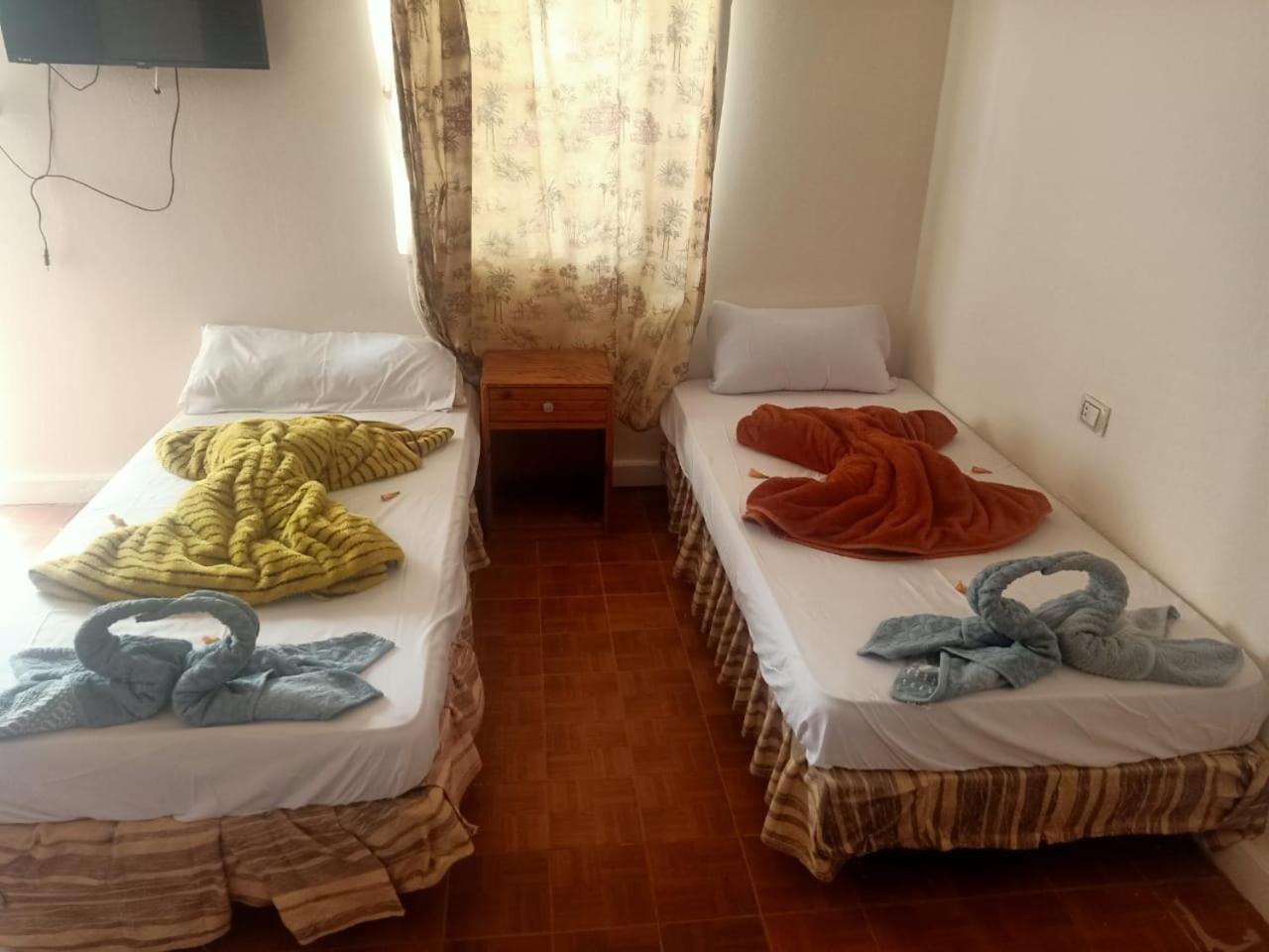 Nuweiba Oasis Hotel Cameră foto